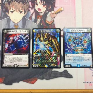 「雷光の聖騎士」