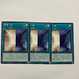 Front and back Normal 23PP-JP005