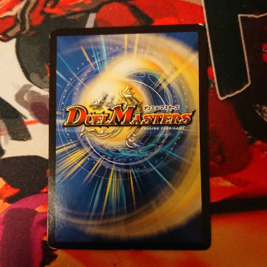 「絶対の楯騎士」