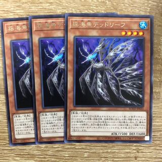 揺海魚デッドリーフ　３枚