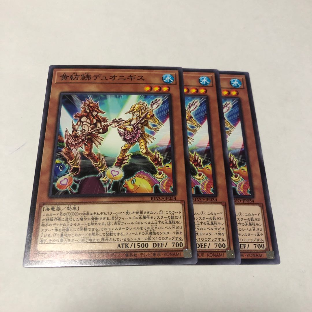 黄紡鮄デュオニギス ノーマル