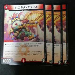 ハエタタ・チュリス