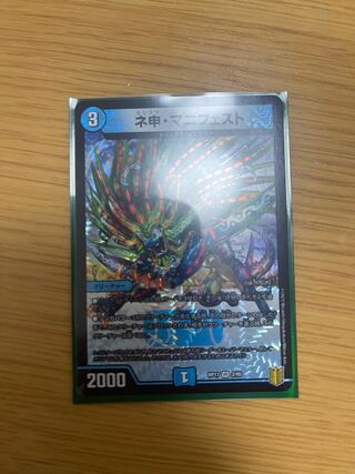 ネ申・マニフェスト