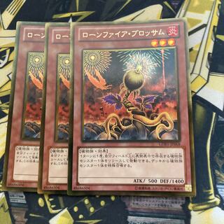 マドレース3161ローンファイア・ブロッサム ゴールドレア