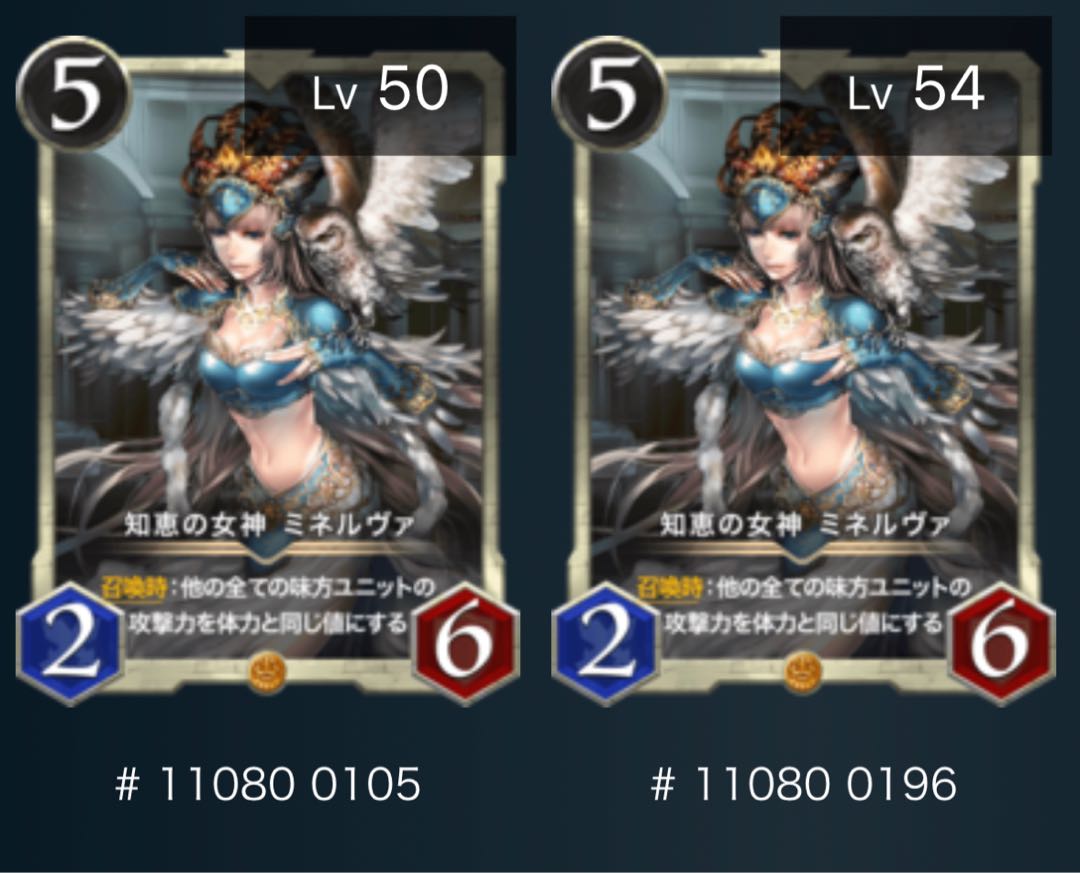 ミネルヴァ　2枚セット