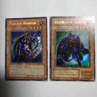 Panther Warrior, set of 2 with different illustrations