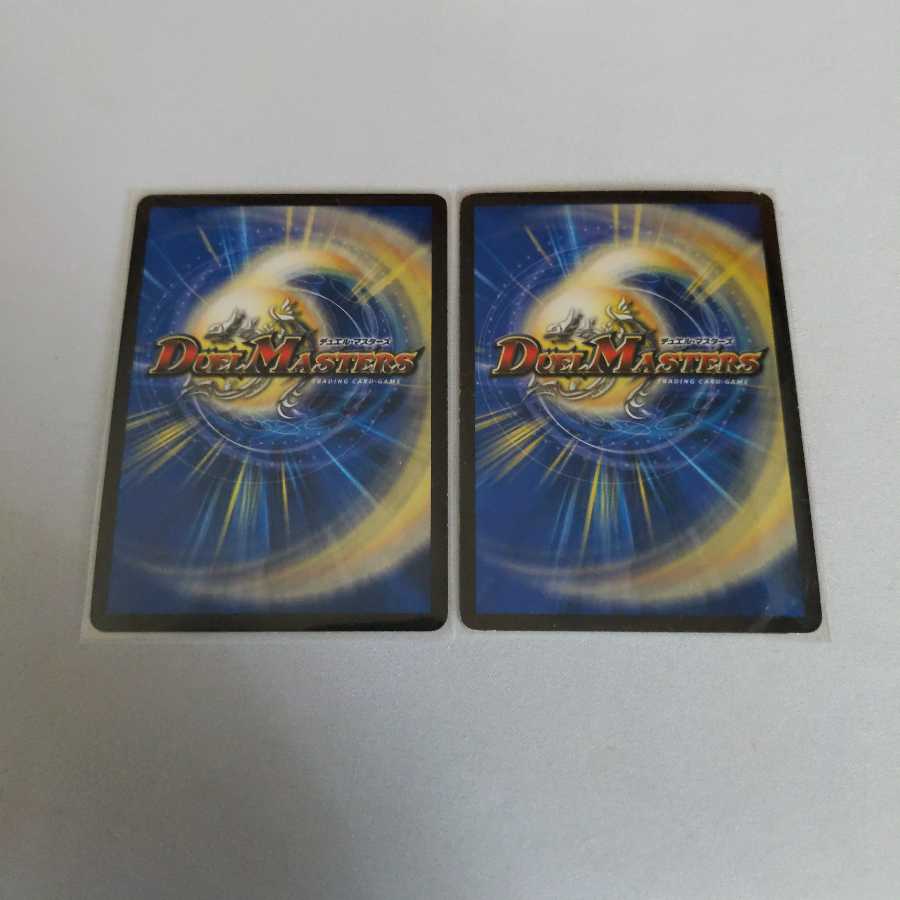 龍脈術 水霊の計 2枚