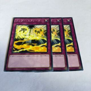 ワンダー・エクシーズ ノーマル