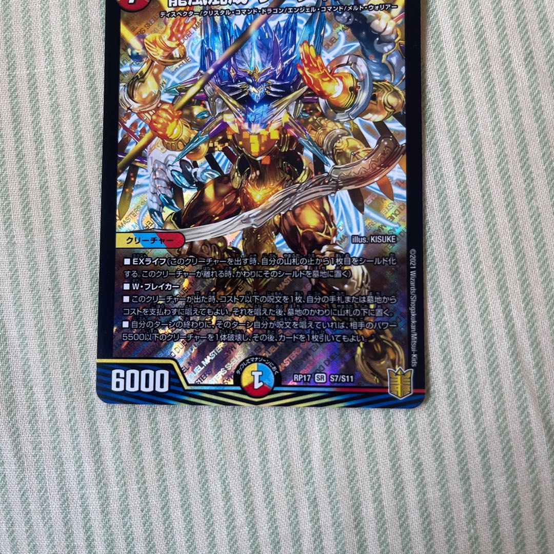 龍風混成 ザーディクリカ