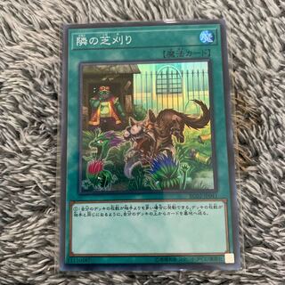 隣の芝刈り スーパーレア