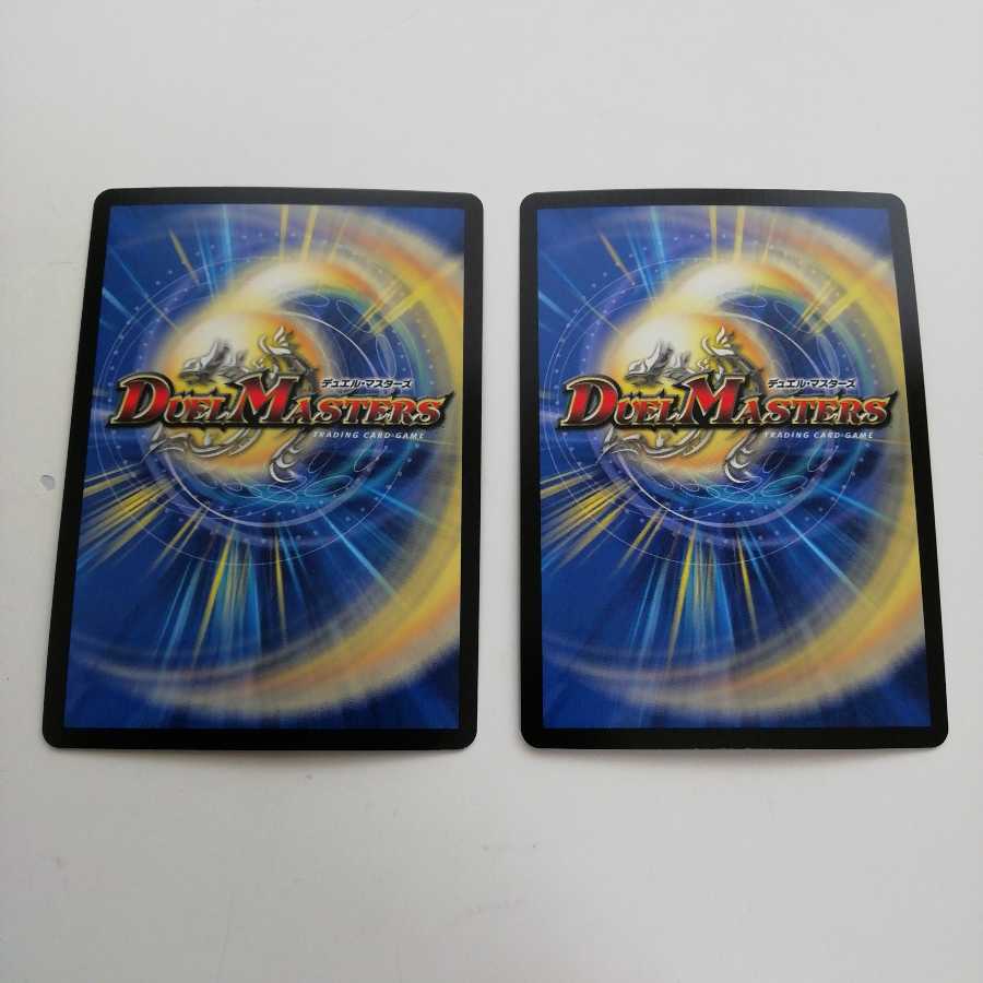 轟牙忍 ハヤブサリュウ