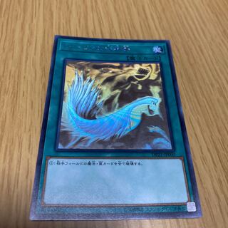 ハーピィの羽根帚 ホログラフィックレア