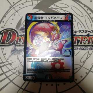 麗泳者 マツバメモノ(キンキラ王BOX仕様)