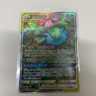 フシギバナ＆ツタージャ SA