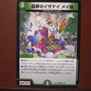 mri899 set discount Forest dream Izanai Mr. Rosa