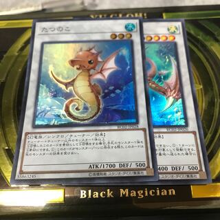 瑚之龍、たつのこ　スーパーレア