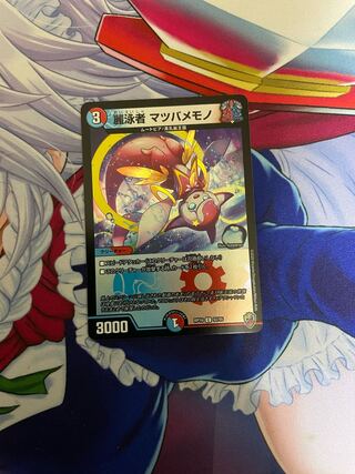 麗泳者 マツバメモノ(キンキラ王BOX仕様)