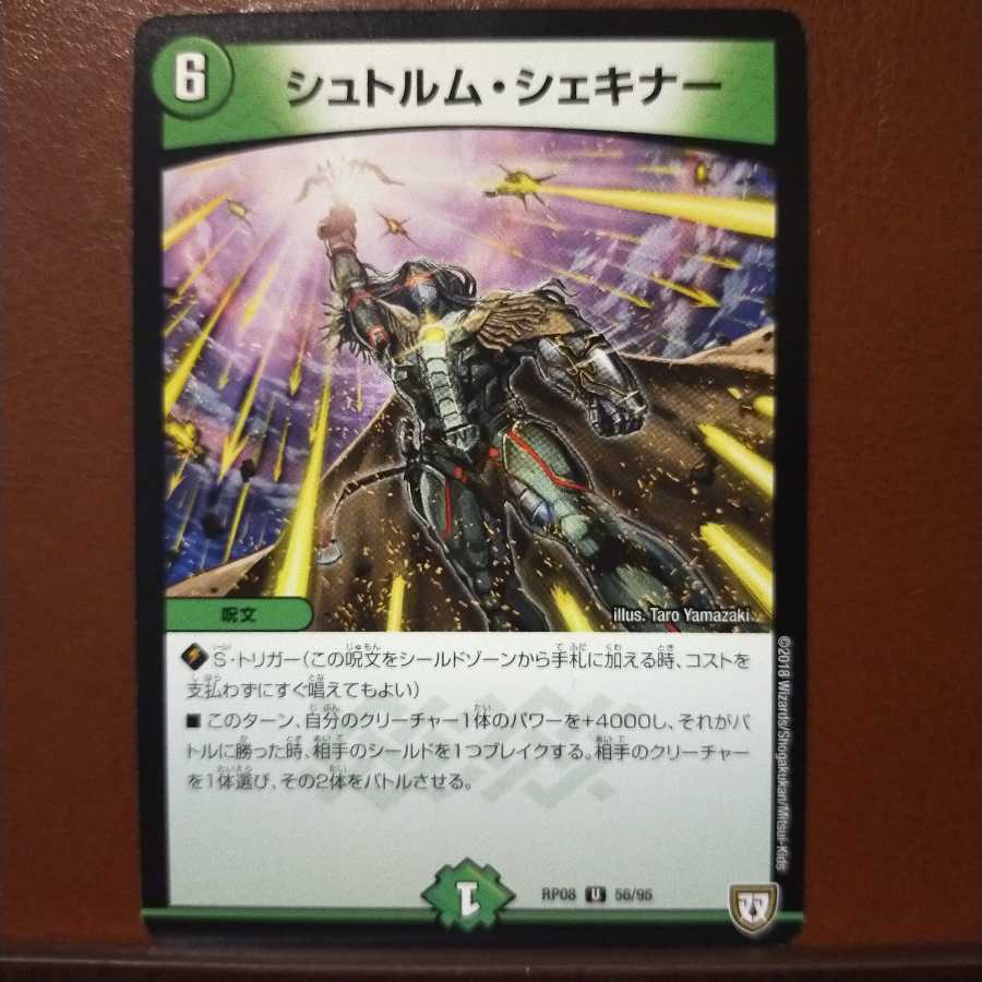 mri924セット割引 シュトルム・シェキナー