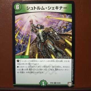 mri924セット割引　シュトルム・シェキナー