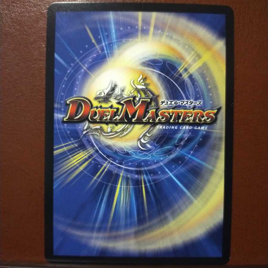 mri924セット割引 シュトルム・シェキナー