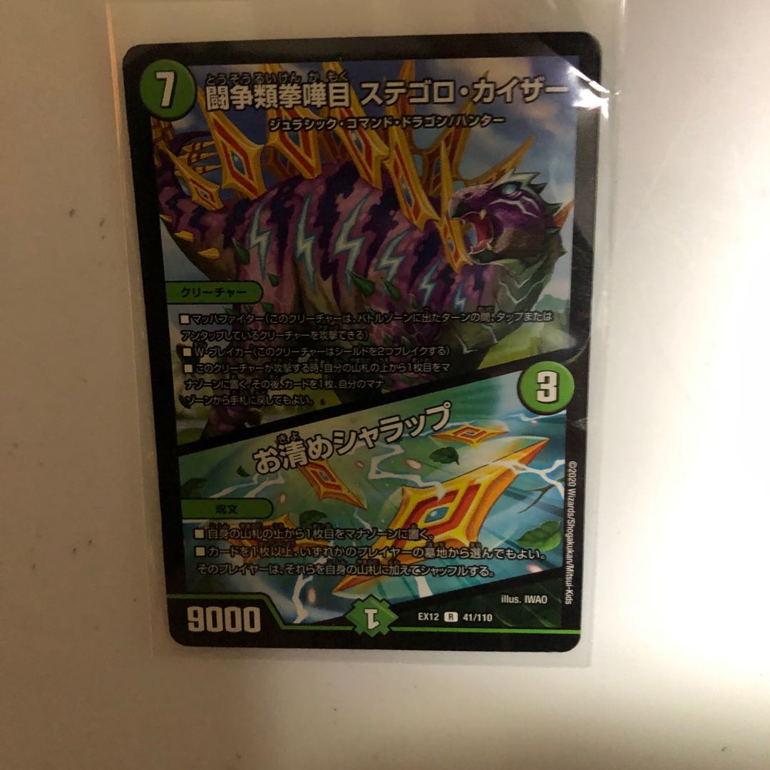 闘争類拳嘩目 ステゴロ・カイザー｜お清めシャラップ R