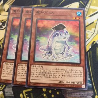 マドレース3360魔知ガエル ノーマル