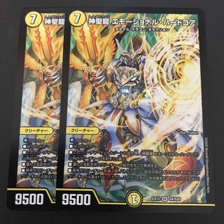 神聖龍 エモーショナル・ハードコア 2枚