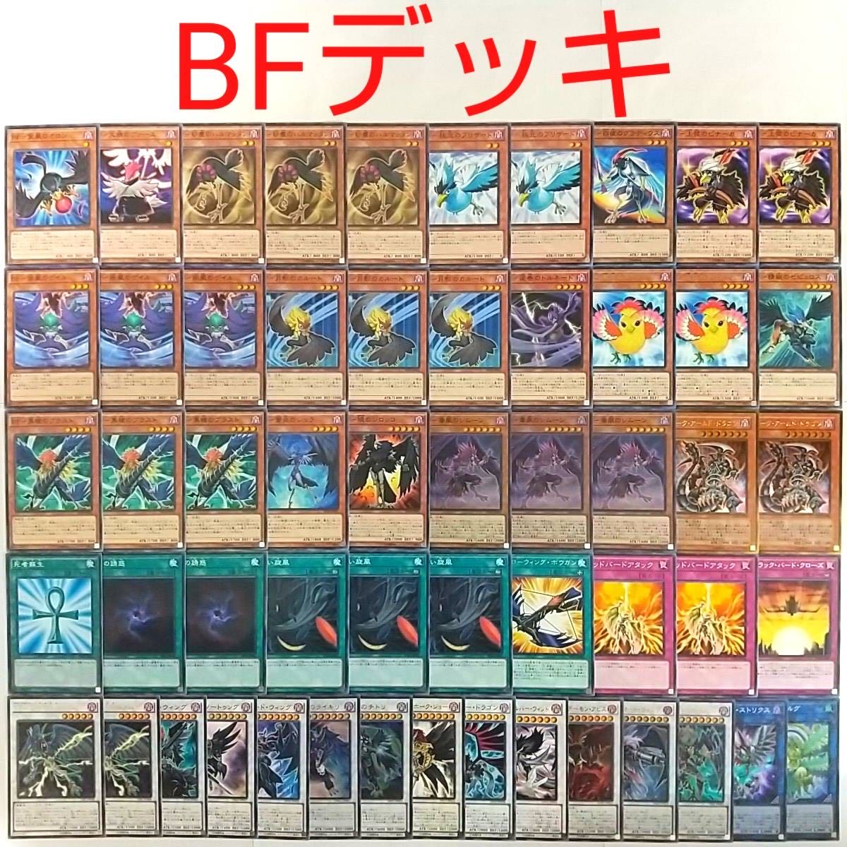 【遊戯王 デッキ】BFフルアーマードウィング 王神鳥シムルグ BF毒風のシムーン