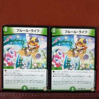 mri960セット割引　フルール・ライフ