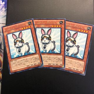 Rescue Rabbit Rare 3