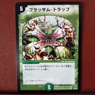 mri963 set discount Brassam shower