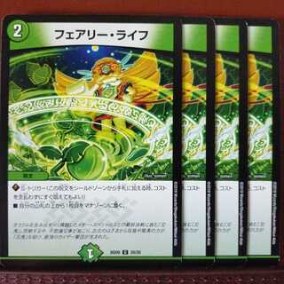 セット割引　フェアリー・ライフ