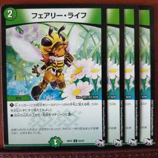 セット割引　フェアリー・ライフ