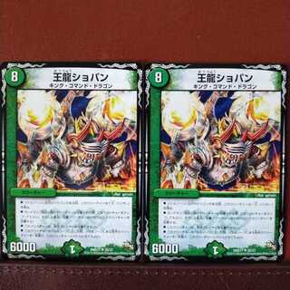 mri1002セット割引　王龍ショパン