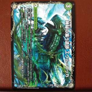 セット割引　神秘の集う遺跡 エウル=ブッカ｜遺跡類神秘目 レジル=エウル=ブッカ