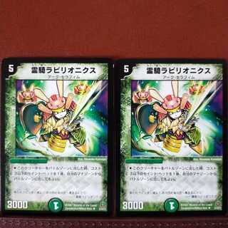 mri1021 set discount Reiki Rabbionics