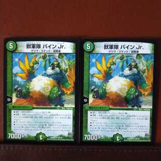 mri1051 set discount beast army pine jr.