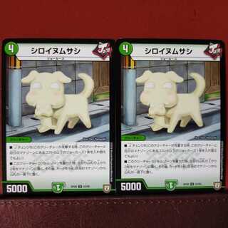 mri1066 set discount sylvain's tern