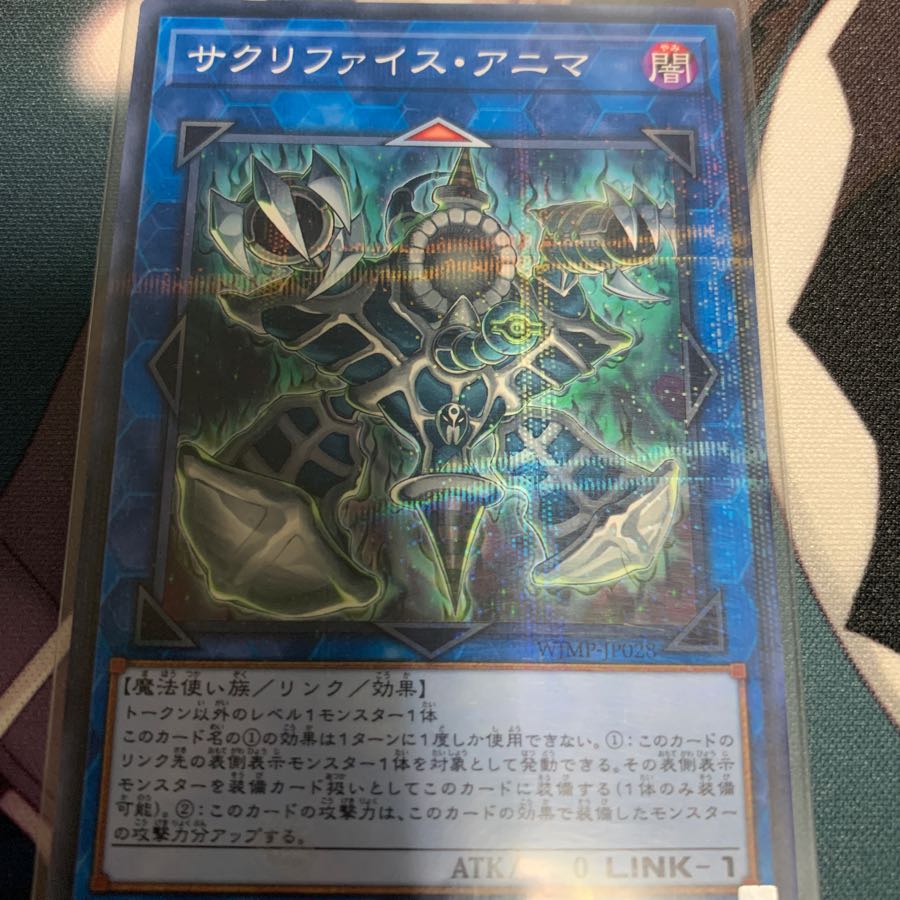 サクリファイスアニマ