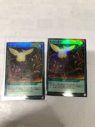 昴光の裁き2枚セット