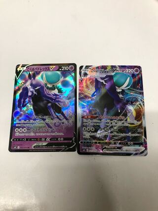 こくばバドレックスV進化セット