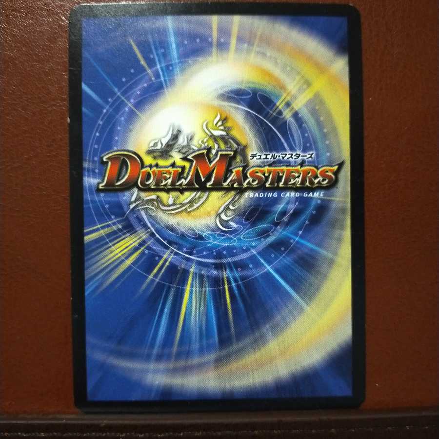 mri1138セット割引 散る桜吹雪