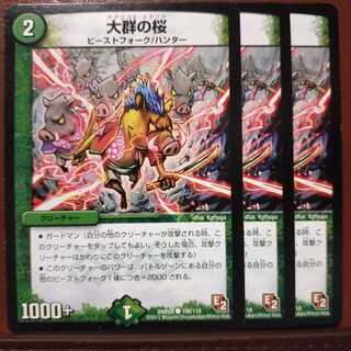 mri1141セット割引　大群の桜(通常)