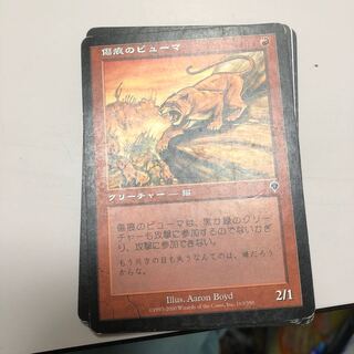 傷痕のピューマ