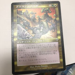 アルマジロの外套