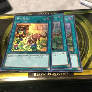 隣の芝刈り スーパーレア3枚