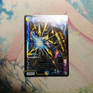 「雷光の聖騎士」