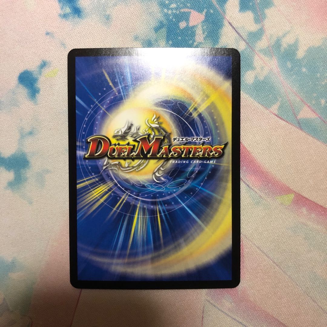 「絶対の楯騎士」