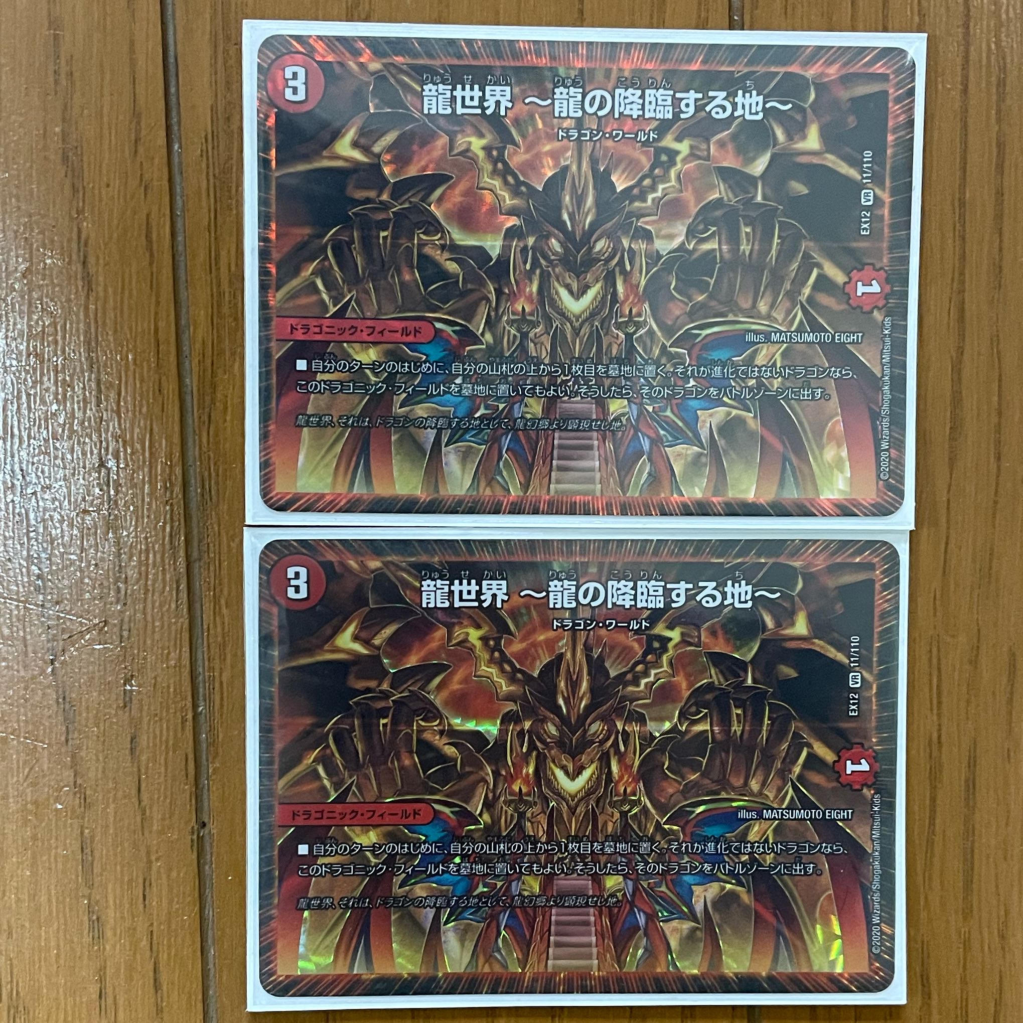 龍世界 -龍の降臨する地-2枚