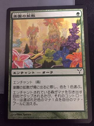 楽園の拡散 コモン